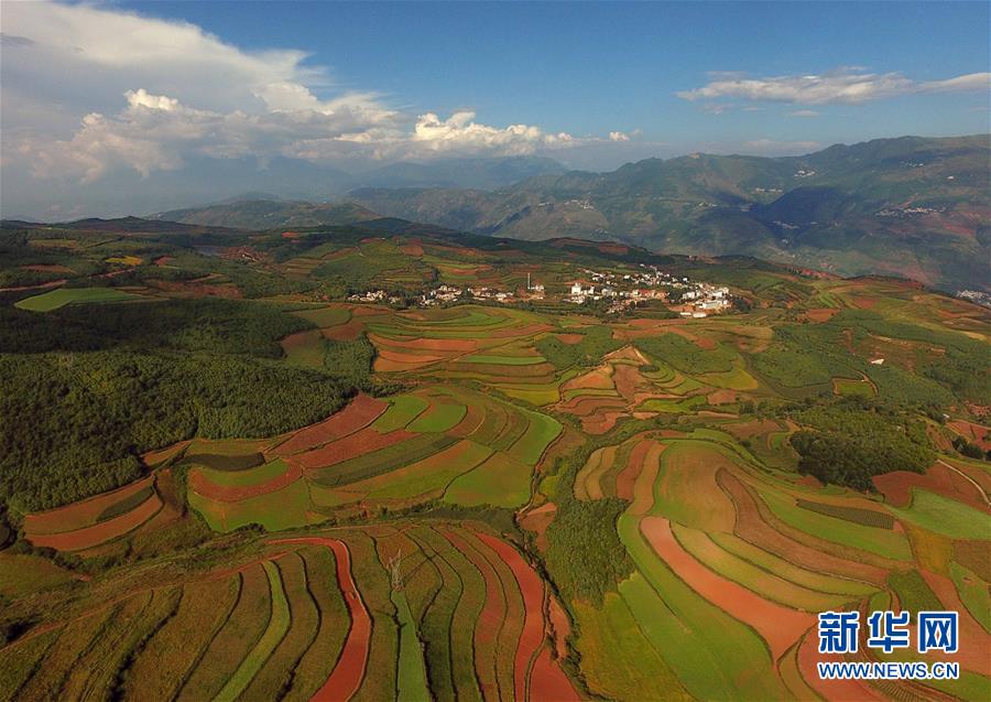 （美丽中国）（6）飞越东川红土地