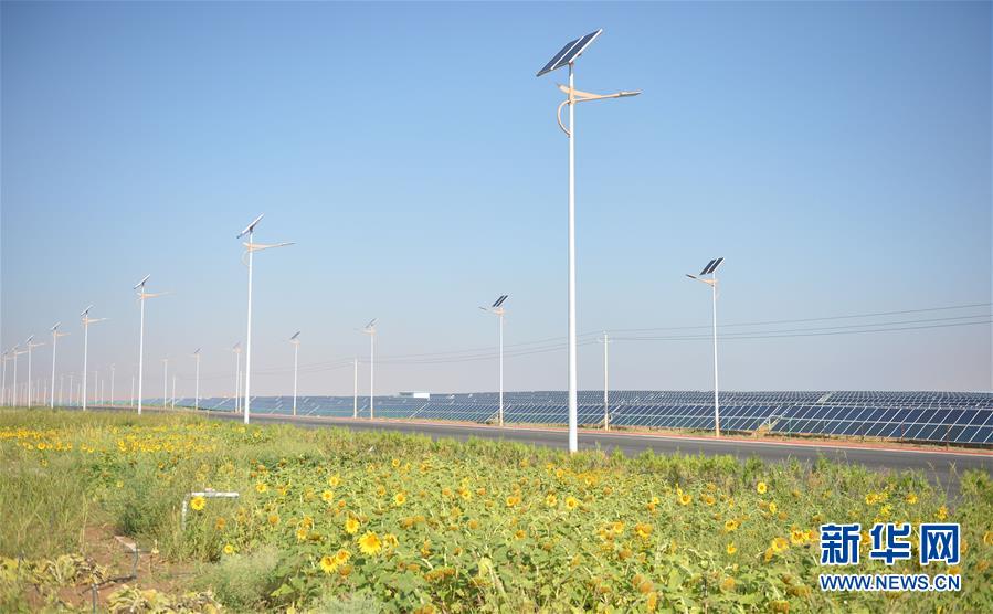 （宁夏60年）（10）宁夏中卫：科学治沙显成效