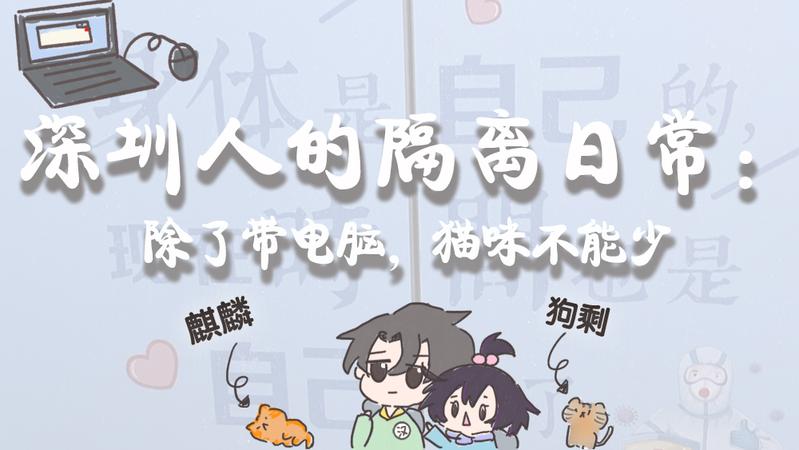 宠TA丨深圳人的隔离日常：除了带电脑，猫咪不能少